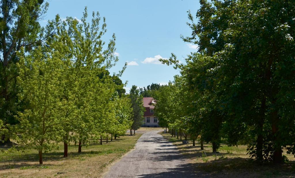 Gospodarstwo Nad Jeziorem Zalom  Extérieur photo