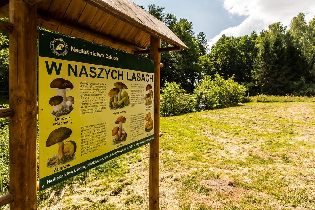 Gospodarstwo Nad Jeziorem Zalom  Extérieur photo
