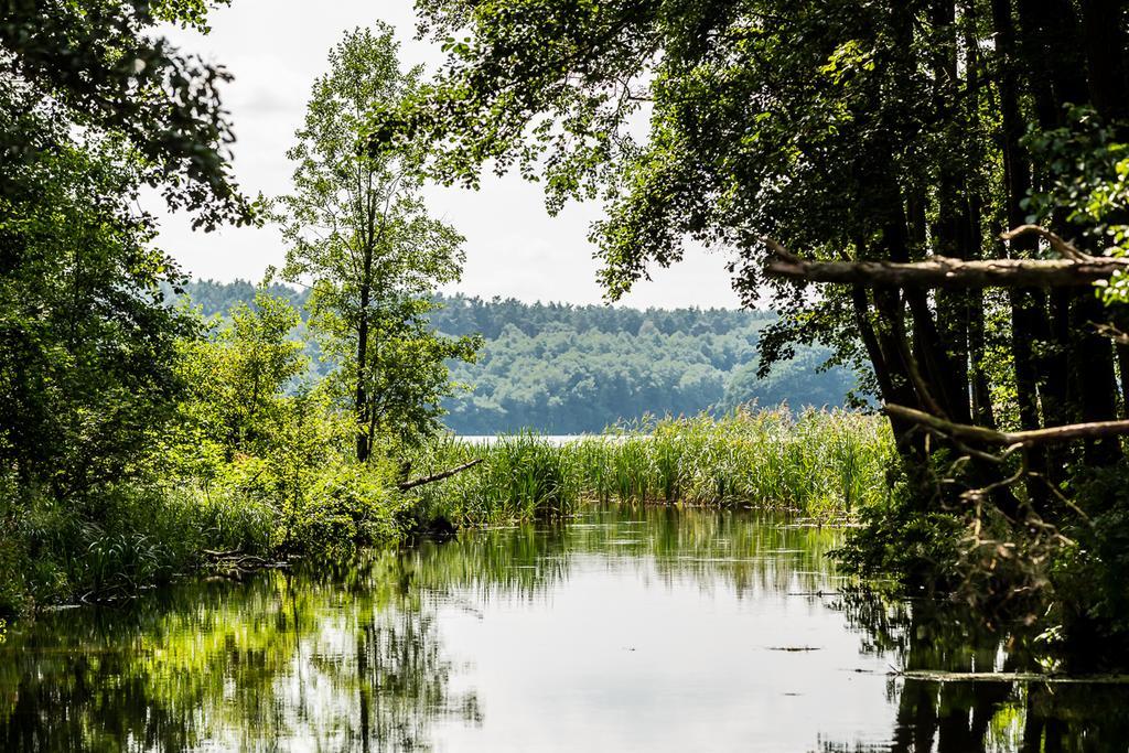 Gospodarstwo Nad Jeziorem Zalom  Extérieur photo