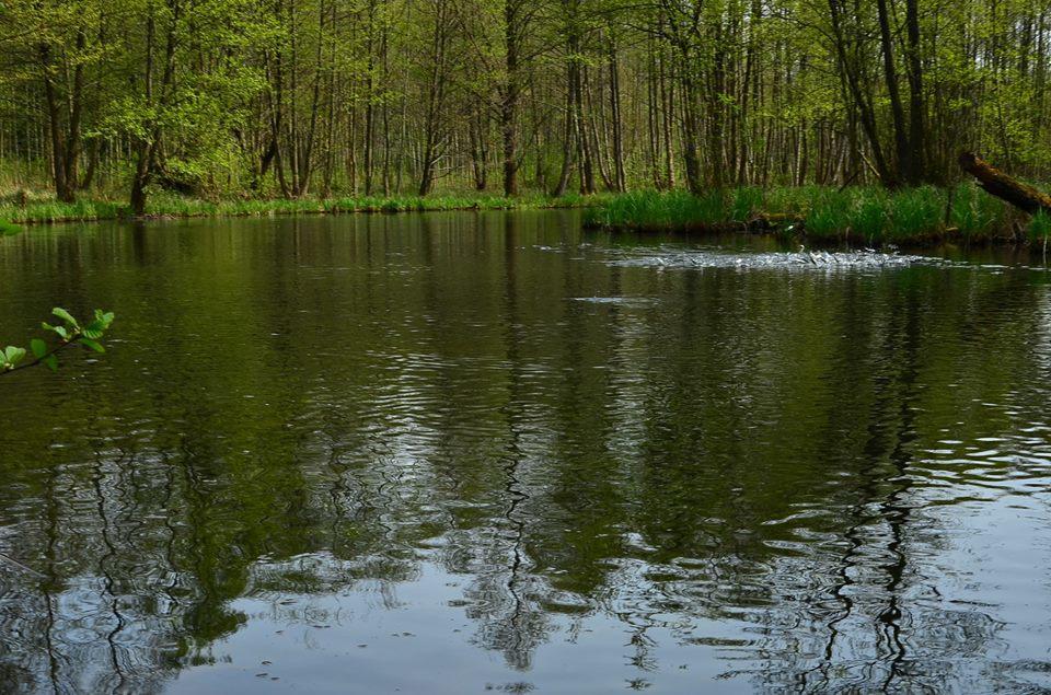 Gospodarstwo Nad Jeziorem Zalom  Extérieur photo